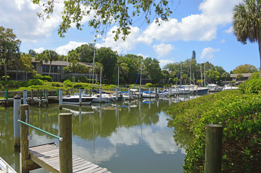 Harbor in Pelican Cove