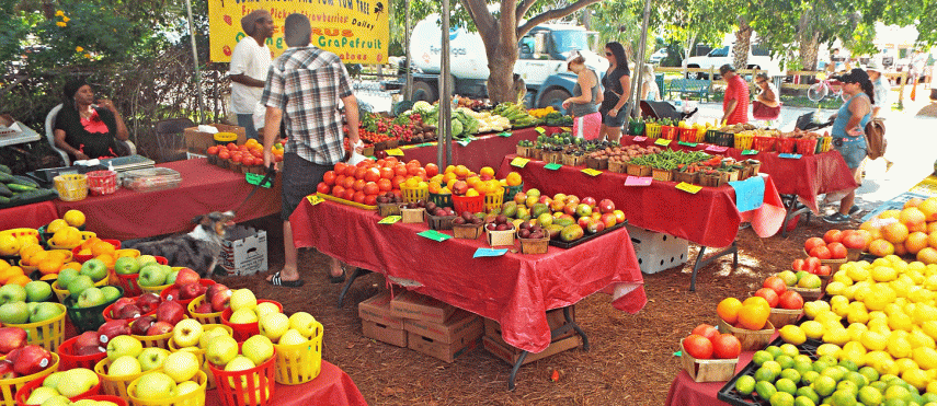 Farmer's Market in Englewood